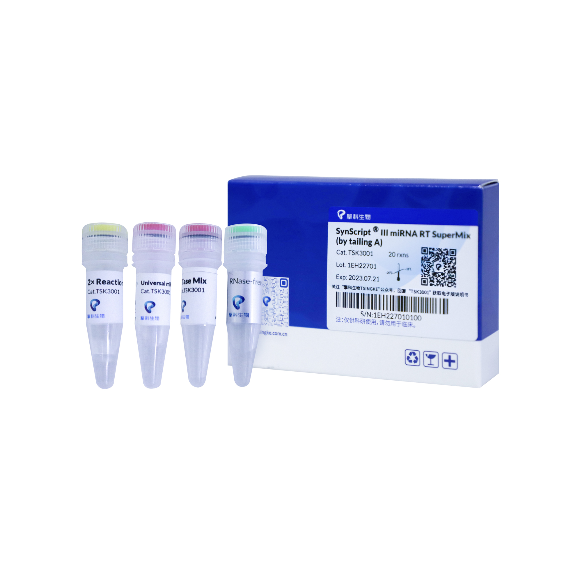 第一链cDNA合成试剂盒（加尾法）