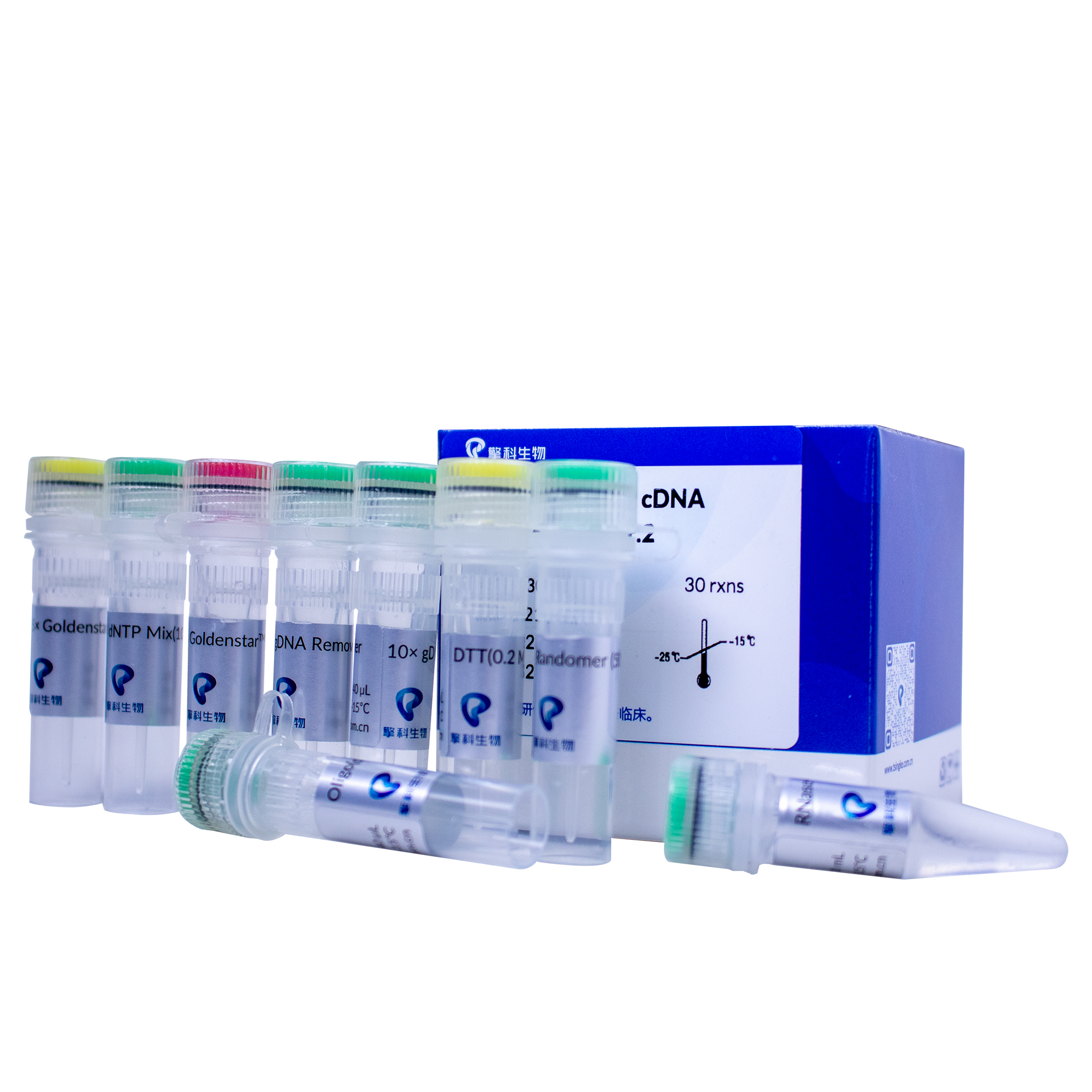 Goldenstar® RT6 cDNA Synthesis Kit Ver.2