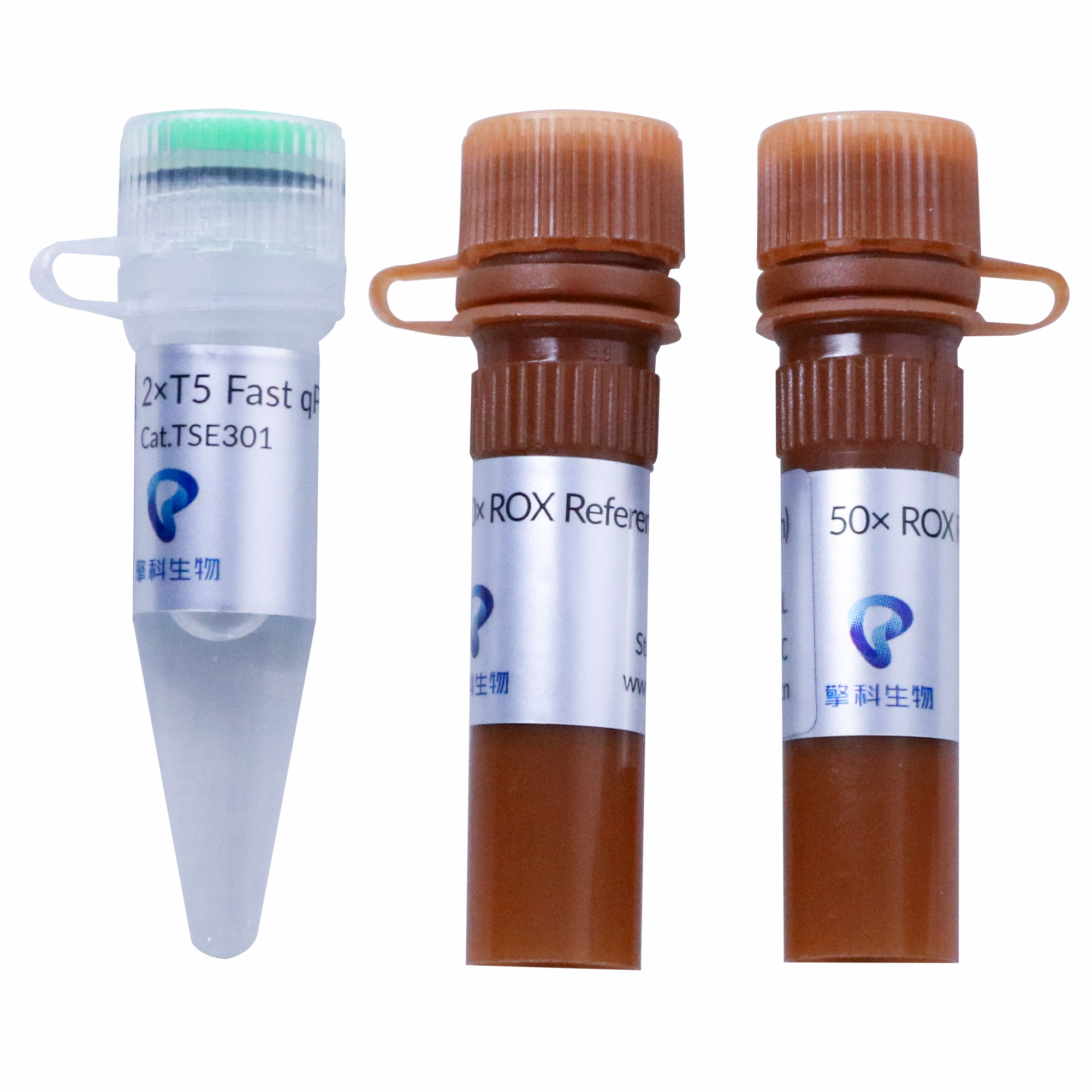2×T5 Fast qPCR Mix（Probe）
